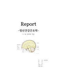 뇌 구조와 기능