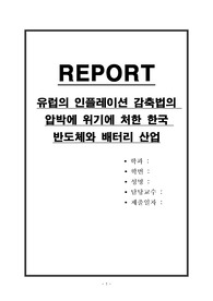 유럽의 인플레이션 감축법의 압박에 위기에 처한 한국 반도체와 배터리 산업
