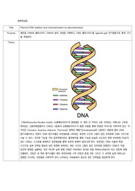 [생화학실험] (A+) Plasmid DNA isolation and characterization by electrophoresis