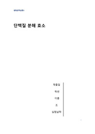단백질 분해효소 및 효소의 동역학적 분석