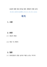 유튜버 내화 영상 분석을 통한 현대인의 관찰 심리