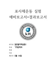 금오공과대학교 일반물리학실험 포사체 운동 실험 예비 +결과 보고서