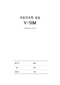 V-sim Brittany Long 케이스 성찰보고서