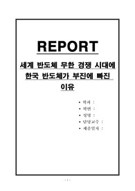 세계 반도체 무한 경쟁 시대에 한국 반도체가 부진에 빠진 이유
