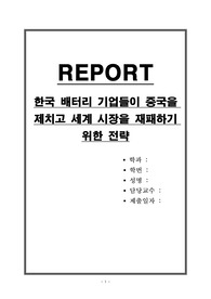 한국 배터리 기업들이 중국을 제치고 세계 시장을 재패하기 위한 전략