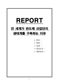 전 세계가 반도체 산업단지 생태계를 구축하는 이유