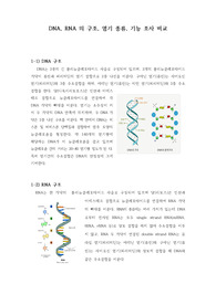 DNA, RNA 의 구조, 염기 종류, 기능 조사 비교