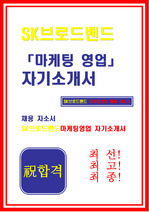 [자기소개서]SK브로드밴드_마케팅영업