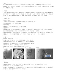 PCD 문헌고찰
