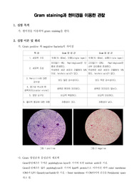 [미생물실험]Gram staining과 현미경을 이용한 관찰