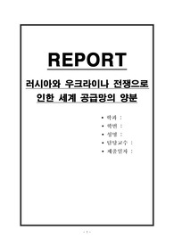 러시아와 우크라이나 전쟁으로 인한 세계 공급망의 양분