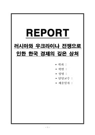 러시아와 우크라이나 전쟁으로 인한 한국 경제의 깊은 상처