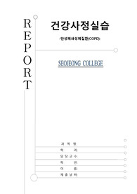 만성폐쇄성폐질환 문헌고찰