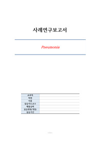 아동간호학 폐렴 논문증례 기반 사례과정