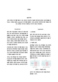 STM 예비보고서