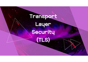 전송계층보안(TSL, Transport Layer Security) 개념, 역사, 장단점, SSL차이점, 공격, 알고리즘(발표PPT)