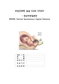 모성간호학 NSVD 케이스스터디, 정상자연질분만 케이스스터디, 자연분만 케이스스터디, Normal Spontaneous Vaginal Delivery