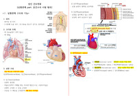 심혈관계 구조기능, 심전도, 심부전, 협심증 파트 요약정리