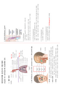 상하부 호흡기계 건강문제 및 간호, 감염성&amp;직업성&amp;외상성&amp;제한성 폐질환 파트 요약정리