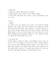 제한효소 처리 DNA 전기영동 보고서