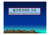 철근 콘크리트 구조