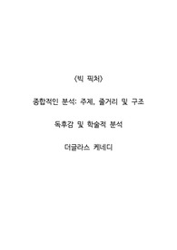 <빅 픽처>  종합적인 분석_주제, 줄거리 및 구조  독후감 및 학술적 분석  더글라스 케네디