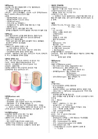 해부학A+ / 심혈관계 &amp; 림프계 / 요약집 / 핵심정리 / 인체해부학