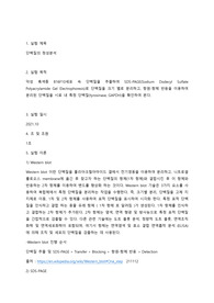 생화학실험 단백질의 정성분석