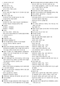 2021 조선대 한국사 중간 정리자료