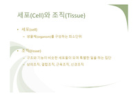 세포의 구조와 기능, 세포손상