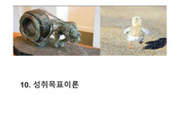 성취목표이론