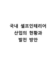 국내 셀프인테리어 산업의 현황과 발전 방안