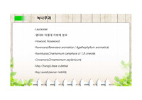 에센셜 오일 녹나무과(라벤사라 라빈트사라 시나몬 메이창 베이 라우렐)