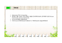 에센셜 오일 국화과, 도금양과, 육두구과, 벼과