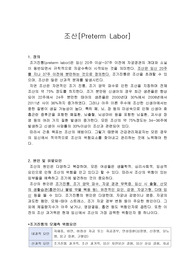 여성간호학 조산 주제발표보고서