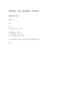 경음화는 자음 동화일까, 아닐까?, 국어학개론 보고서