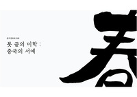 중국 문화의 이해 / 중국의 서예