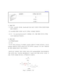 단백질 정량 분석 예비 레포트(A+)