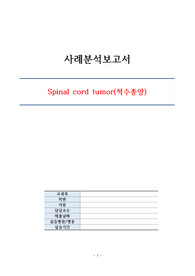 성인간호학실습 척수종양(간호진단 2개, 이론적 근거 상세함)