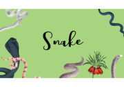 [PPT템플릿]멸종위기,뱀,멸종위기뱀,공포,무서운,자연,자연환경관련PPT