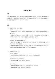 초음파용접