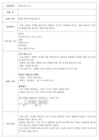 [일반화학 및 실험1] 2. 질량 측정과 액체 옮기기 레포트
