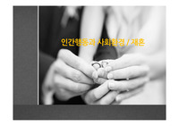 인간행동과 사회환경  재혼