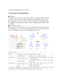 DNA 전사와 번역과정 구체적으로, &lt;핵산의 정의, 구성성분, 전사, 번역,TRNA)