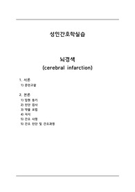 성인간호학실습 뇌경색 CASE STUDY (문헌고찰 o, 간호진단 5개, 간호과정 2개)