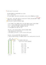 레닌저 생화학 요약, 정리 (24장 유전자와 염색체)