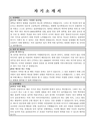 문화체육관광부 홍보팀 최종합격 자기소개서