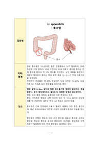 충수염 문헌고찰