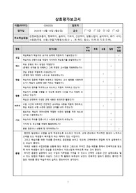 한국어교원 - 상호평가보고서