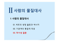 사람의 물질대사-3